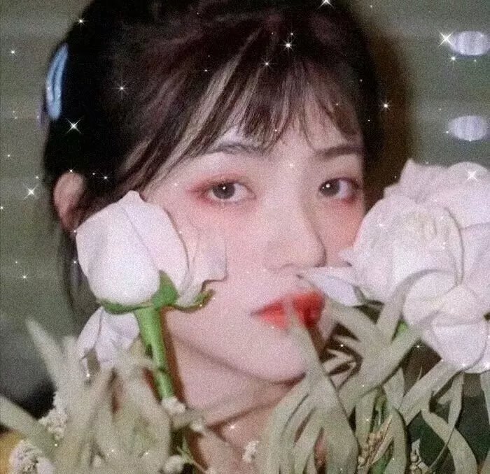 亚历珊卓