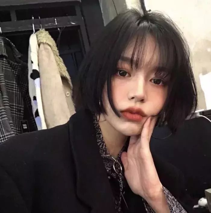 寻狗记